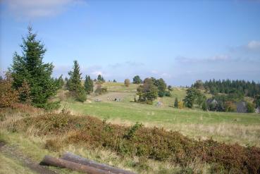 Potrójna 884 m n.p.m. (Beskid Mały) 